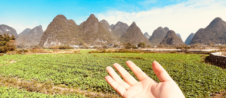 Clean hands or clean heart? || 清洁的手抑或清洁的心？